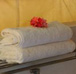 Camping at Alpinestar Holidays India