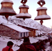 Trekking to Kedarnath, Alpinestar Holidays India