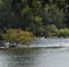 River Rafting in Sharda River, Alpinestar Holidays, Uttarakhand, India