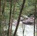 River Rafting in Teesta River, Alpinestar Holidays, Uttarakhand, India